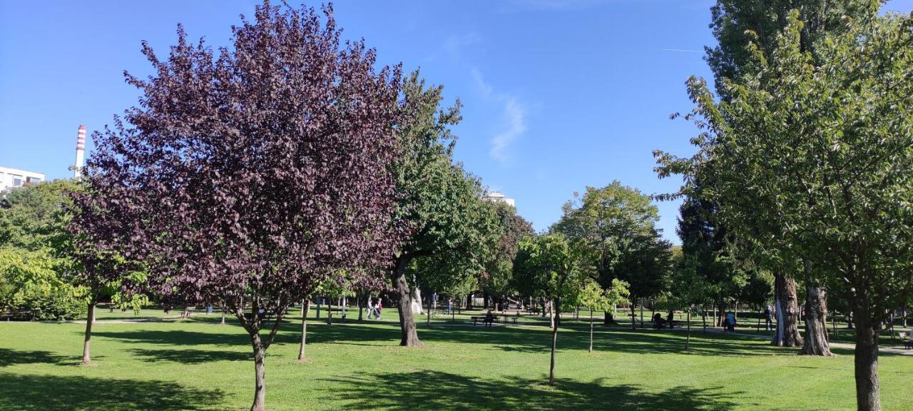 Aurelia'S Comfy Place With Free Parking Zagreb Eksteriør bilde